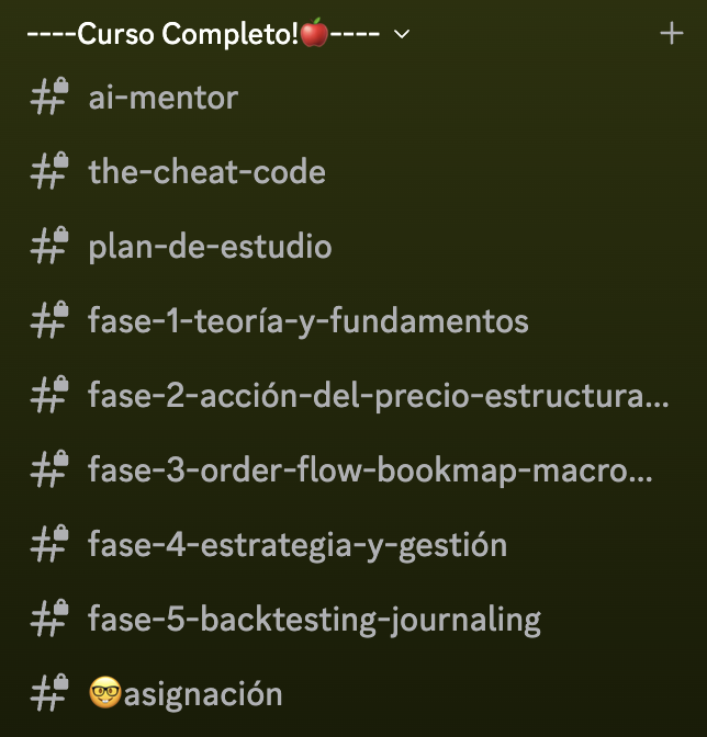 Vista real del programa organizado en cinco fases dentro de Discord.